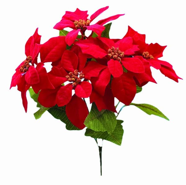 SBX04103RD - 5" Red Velvet Poinsettia x5-"each"